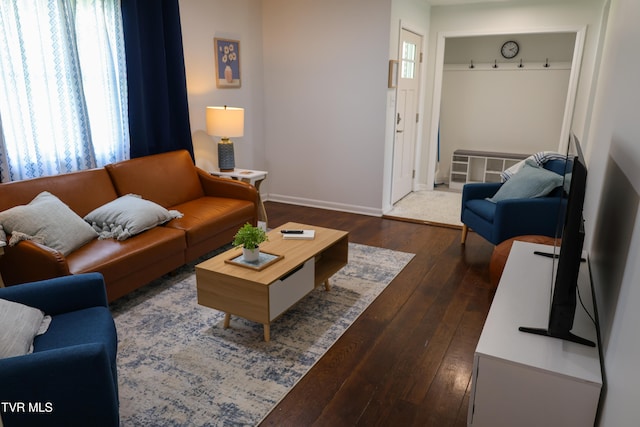 living room featuring wood-type flooring