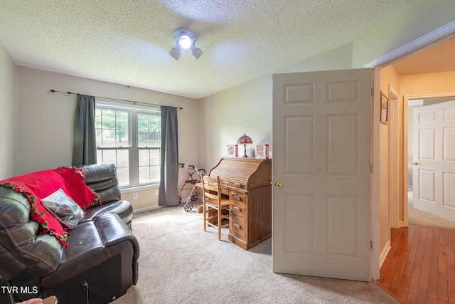 carpeted living room with a textured ceiling