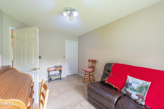 bedroom with carpet and a textured ceiling