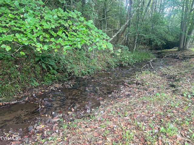 view of nature with a water view