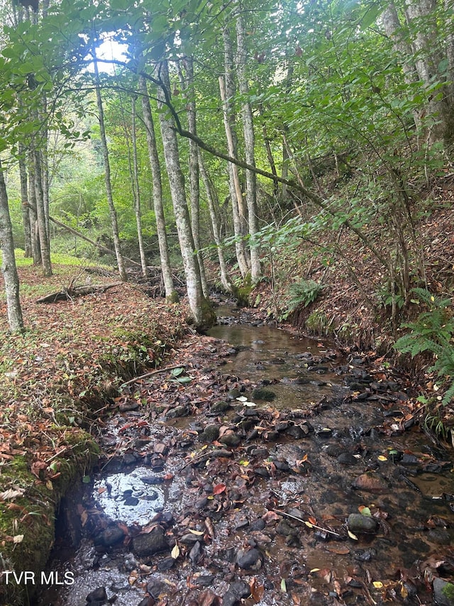 view of landscape featuring a water view