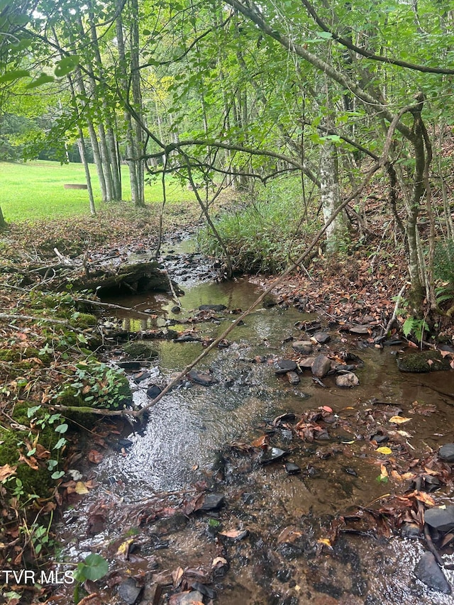 view of local wilderness featuring a water view