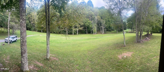 view of property's community featuring a lawn