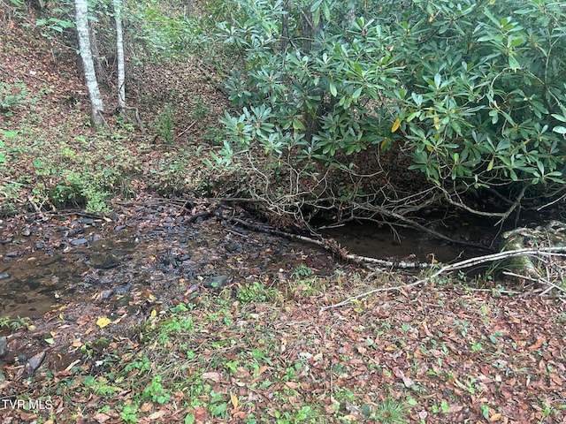 view of nature featuring a water view