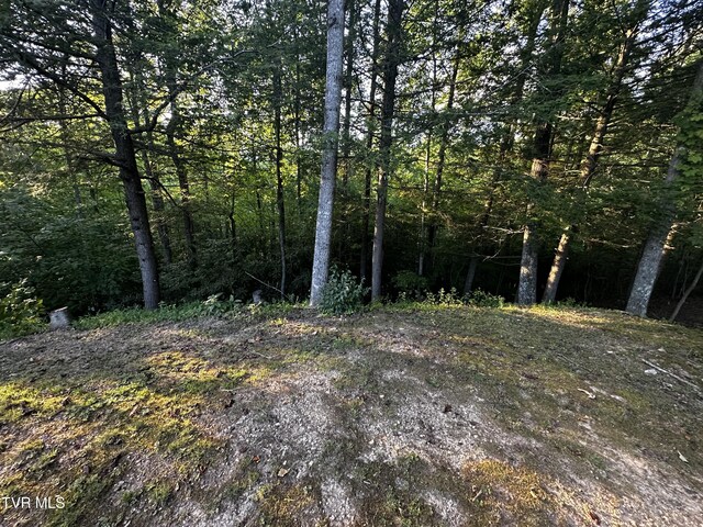 5547 Hale Gap Rd, Pound, VA 24279 - photo 19