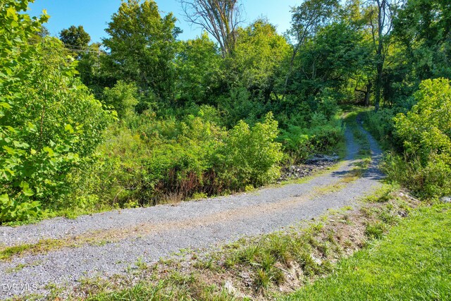 744 Ridge Dr, Piney Flats, TN 37686 - photo 4