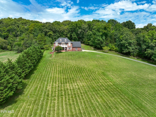 view of yard featuring a rural view