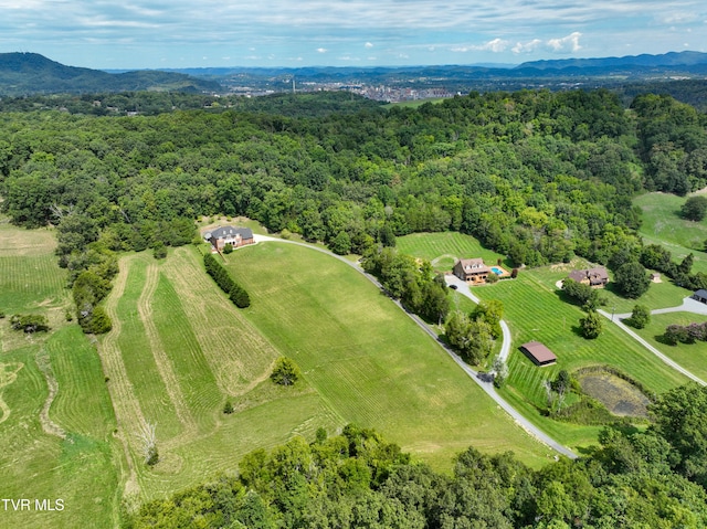 bird's eye view with a mountain view and a rural view