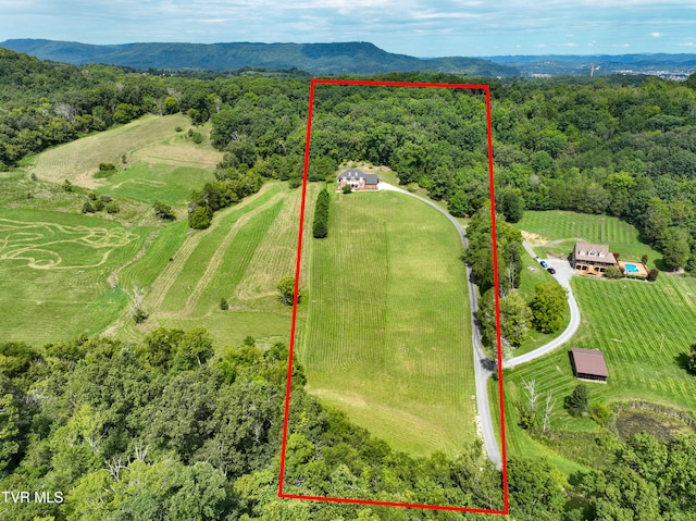 birds eye view of property with a rural view and a mountain view