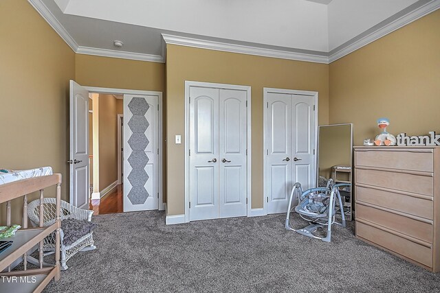 carpeted bedroom with crown molding and multiple closets