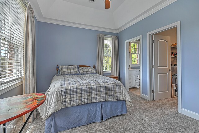 carpeted bedroom featuring a raised ceiling, crown molding, and ceiling fan