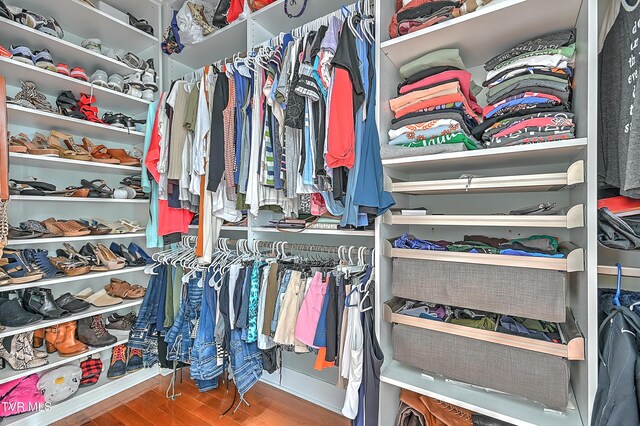 spacious closet with wood-type flooring