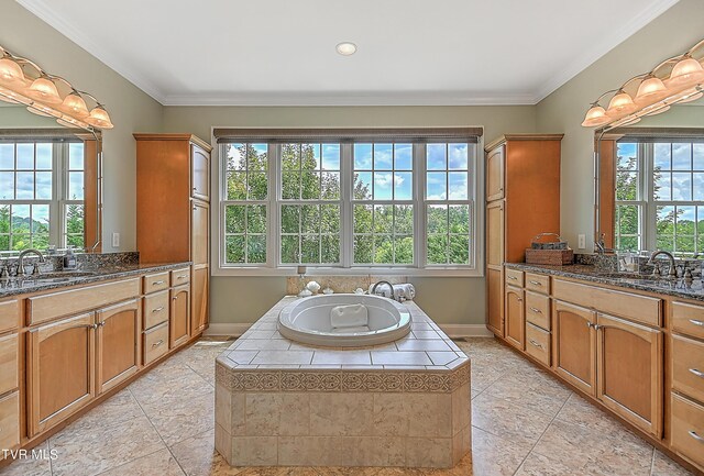 bathroom featuring ornamental molding, vanity, and a wealth of natural light