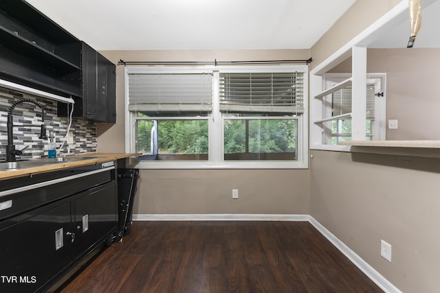 kitchen featuring tasteful backsplash, a wealth of natural light, dark wood-type flooring, and sink