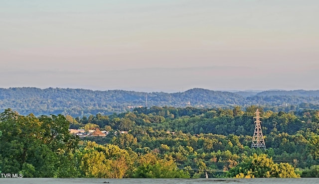 view of mountain feature