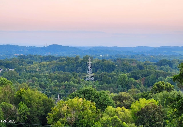 view of mountain feature