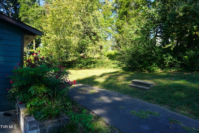 view of yard featuring a patio area