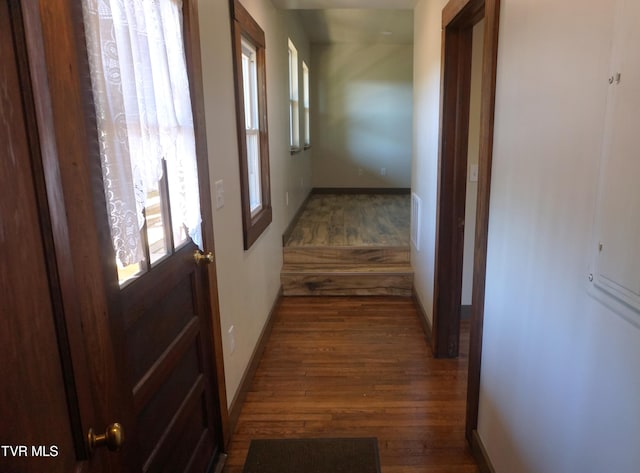 corridor featuring dark hardwood / wood-style floors