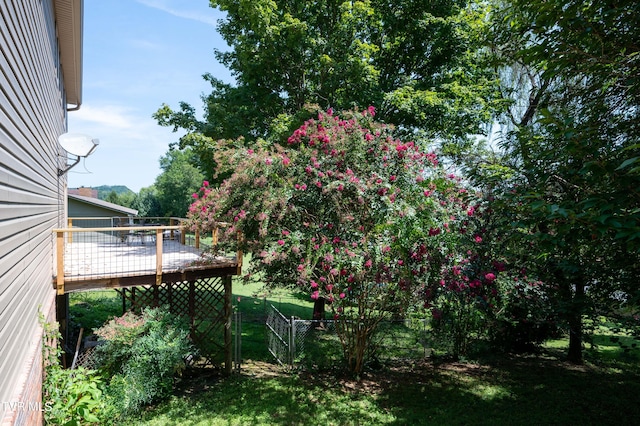 view of yard featuring a wooden deck