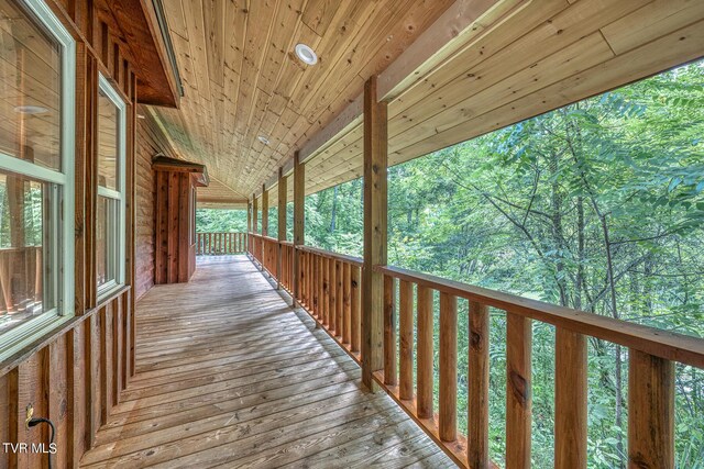 160 Conley Stevens Rd, Roan Mountain, TN 37687 - photo 28
