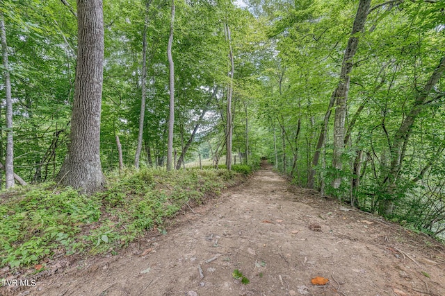 160 Conley Stevens Rd, Roan Mountain, TN 37687 - photo 39