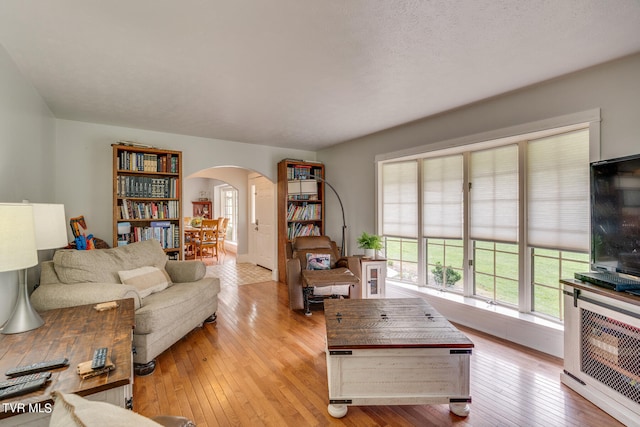 living room featuring hardwood / wood-style flooring