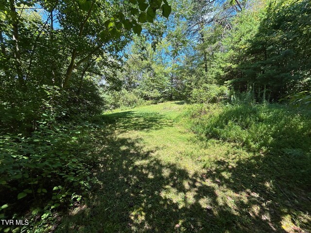 view of local wilderness