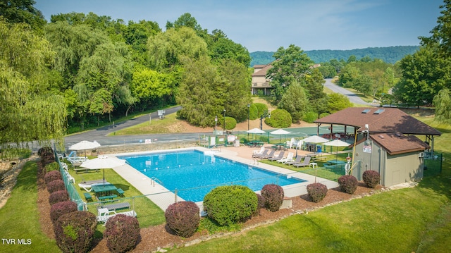 view of swimming pool with a patio area and a yard