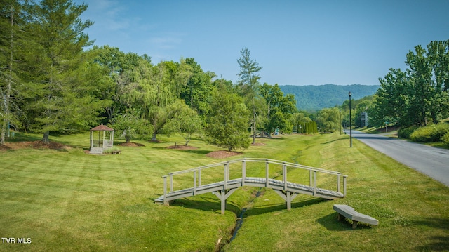 view of property's community featuring a lawn