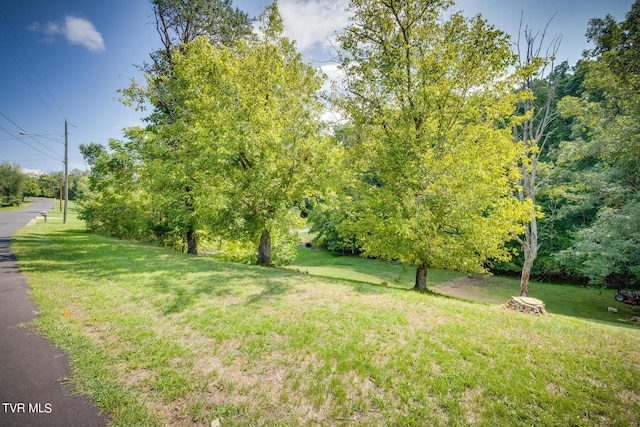 TBD Norma Dr, Kingsport, TN 37660 - photo 1