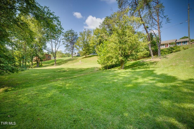 TBD Norma Dr, Kingsport, TN 37660 - photo 4