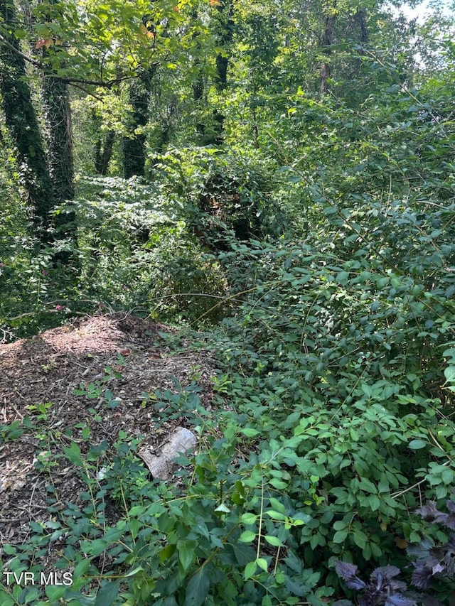 TR14 Pine Forest Ln, Johnson City, TN 37601 - photo 2