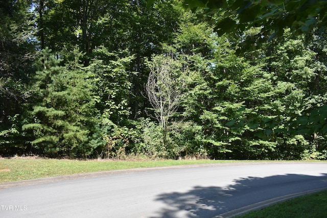 LOT2 River Pointe Dr, Greeneville, TN 37743 - photo 1