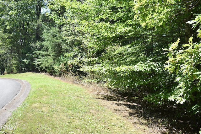 LOT2 River Pointe Dr, Greeneville, TN 37743 - photo 2