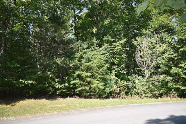 LOT2 River Pointe Dr, Greeneville, TN 37743 - photo 3