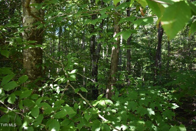 LOT2 River Pointe Dr, Greeneville, TN 37743 - photo 4