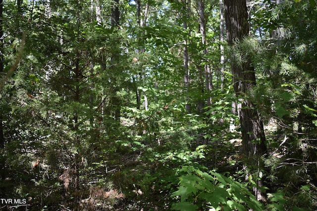 LOT2 River Pointe Dr, Greeneville, TN 37743 - photo 5
