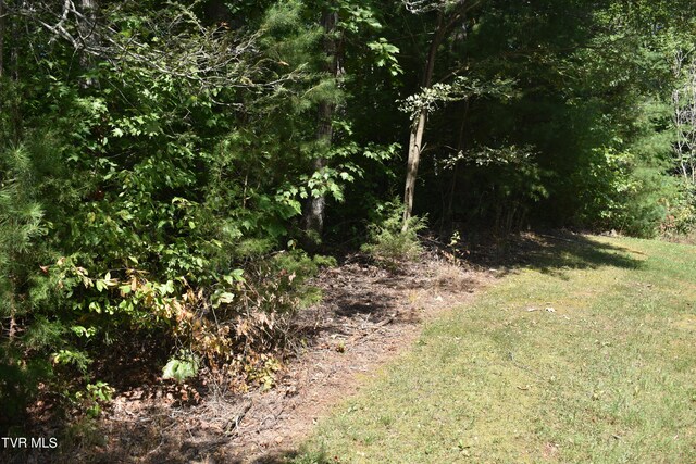 LOT2 River Pointe Dr, Greeneville, TN 37743 - photo 6