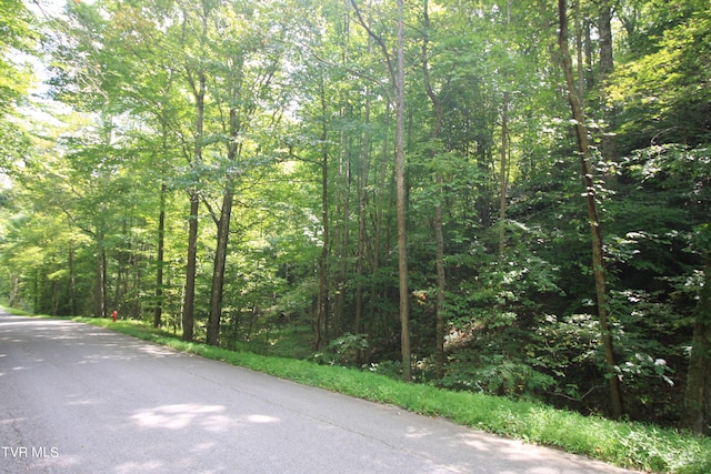 Listing photo 2 for TBD Murray Rd, Marion VA 24354