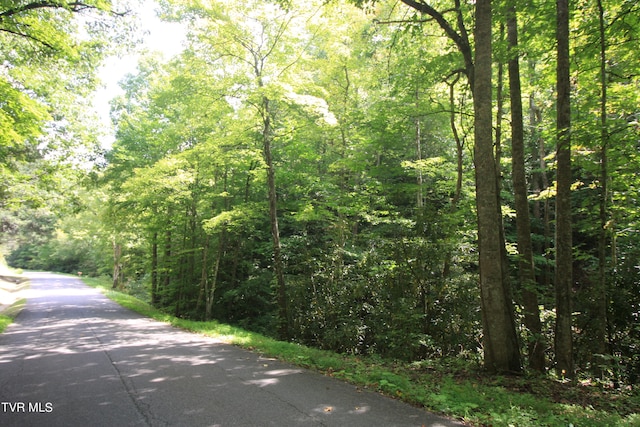 Listing photo 3 for TBD Murray Rd, Marion VA 24354