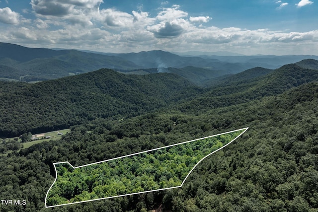 mountain view featuring a view of trees