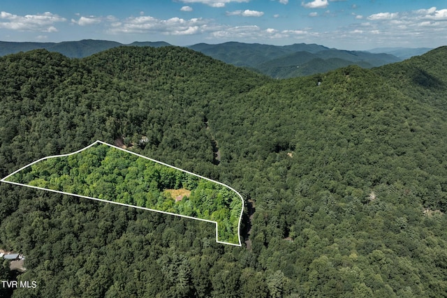 bird's eye view with a mountain view and a forest view