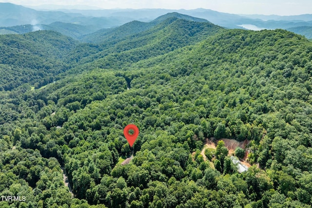 birds eye view of property with a mountain view and a view of trees