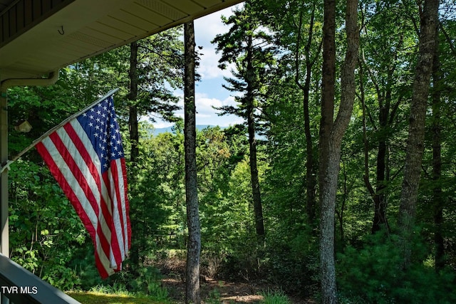 details featuring a wooded view