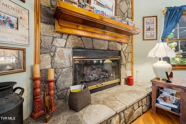 details featuring a fireplace and wood finished floors