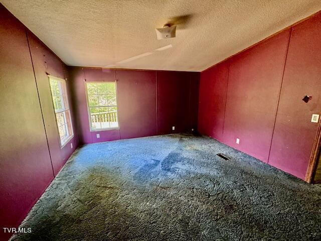 unfurnished bedroom with lofted ceiling, a textured ceiling, and carpet flooring