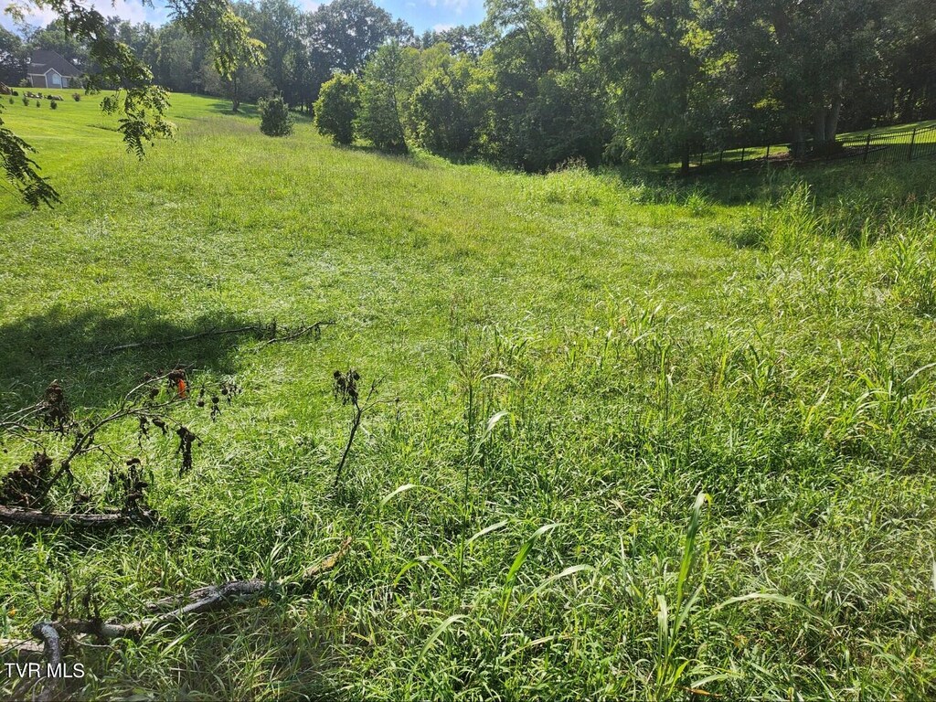 54 Golf Course Rd, Unicoi, TN 37692