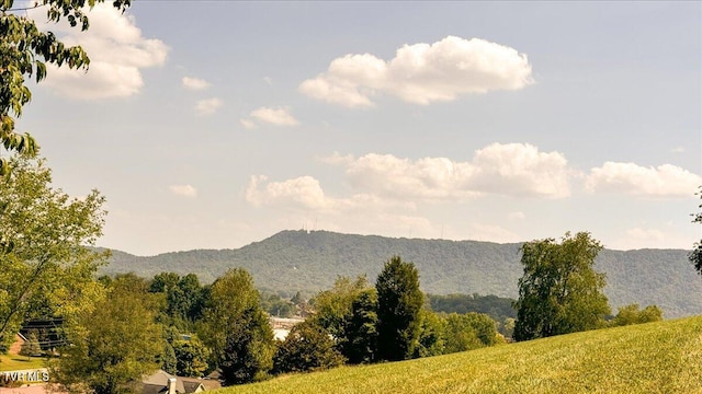 view of mountain feature