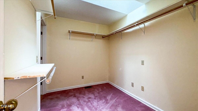 spacious closet with carpet flooring