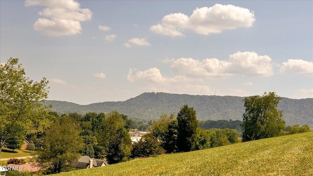 property view of mountains